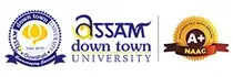Assam Down Town University Online
